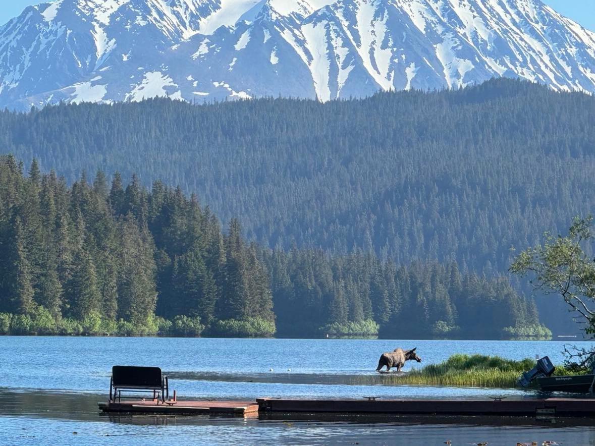 Bear Lake Lodgings B&B, Inc 수어드 외부 사진