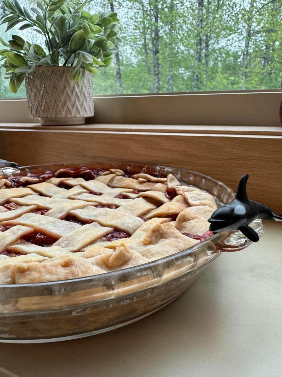 Bear Lake Lodgings B&B, Inc 수어드 외부 사진